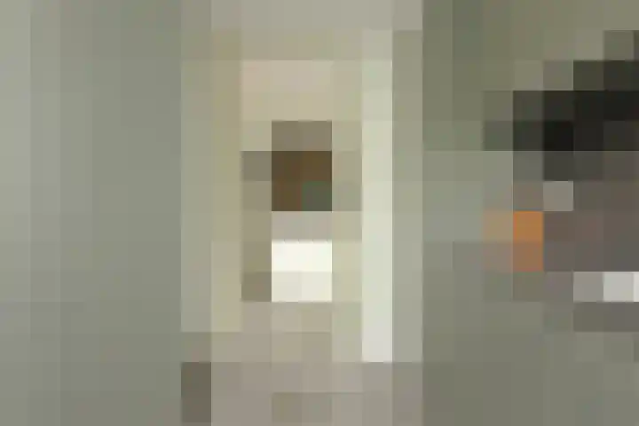 Ossenkamp 3 Hooglanderveen thumbnail 22