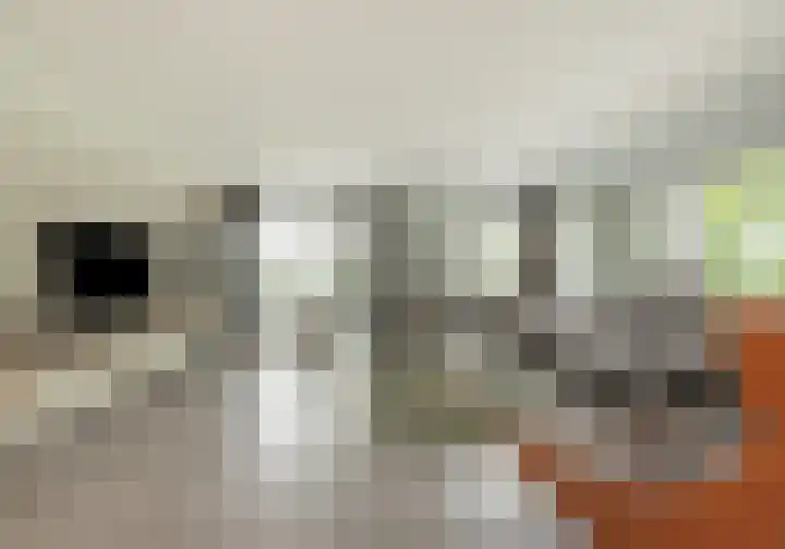 Ossenkamp 3 Hooglanderveen thumbnail 23