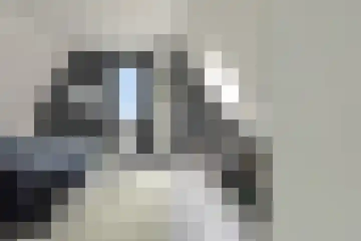 Ossenkamp 3 Hooglanderveen thumbnail 38