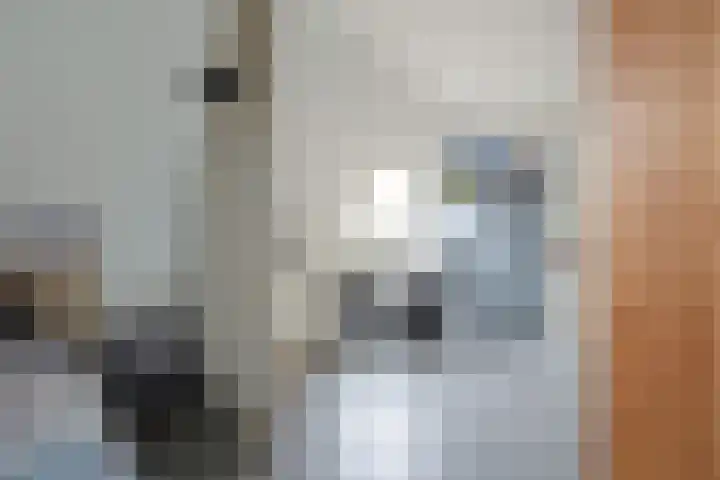 Ossenkamp 3 Hooglanderveen thumbnail 43