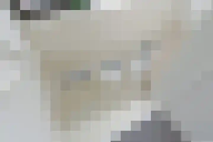 Ossenkamp 3 Hooglanderveen thumbnail 46