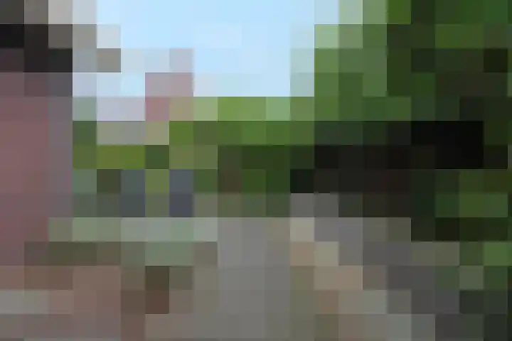 Ossenkamp 3 Hooglanderveen thumbnail 47