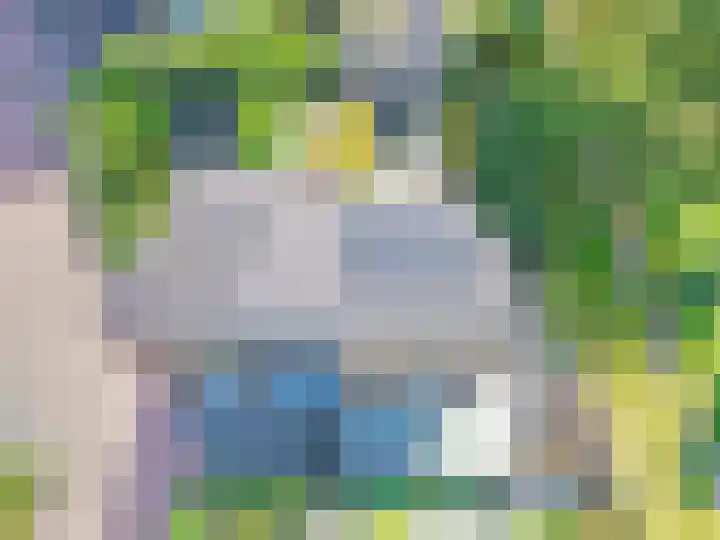 Ossenkamp 3 Hooglanderveen thumbnail 48