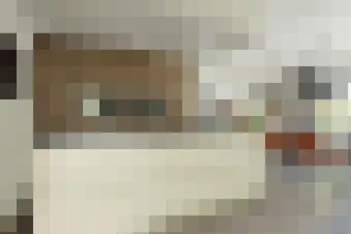 Ossenkamp 3 Hooglanderveen thumbnail 5