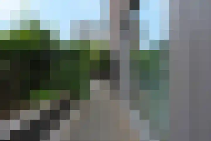 Ossenkamp 3 Hooglanderveen thumbnail 50