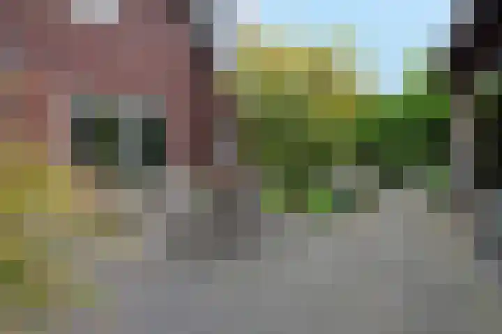 Ossenkamp 3 Hooglanderveen thumbnail 52