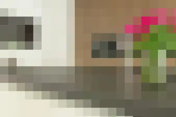 Ossenkamp 3 Hooglanderveen thumbnail 6