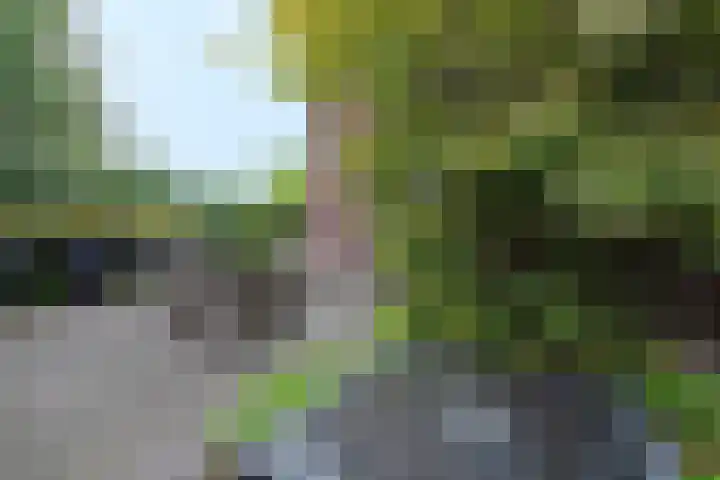 Ossenkamp 3 Hooglanderveen thumbnail 7