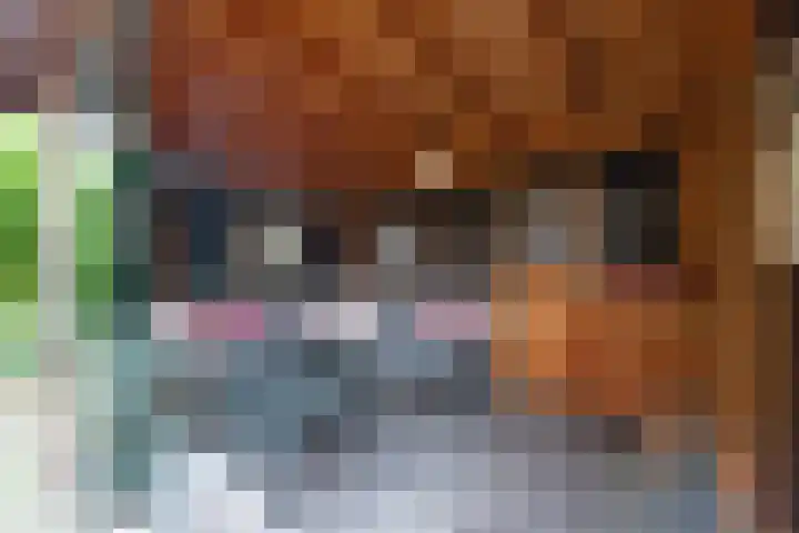 Ossenkamp 3 Hooglanderveen thumbnail 8