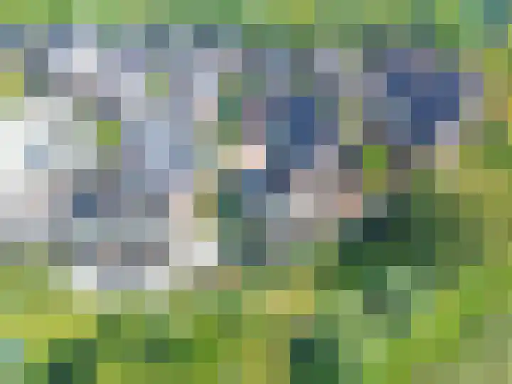 Ossenkamp 3 Hooglanderveen thumbnail 9