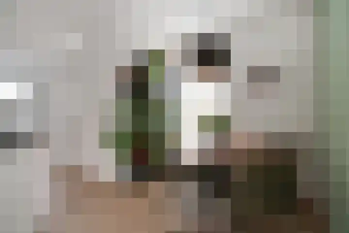 Ossenkamppad 1 Zevenaar thumbnail 12