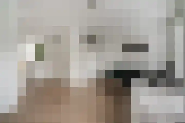 Ossenkamppad 1 Zevenaar thumbnail 16