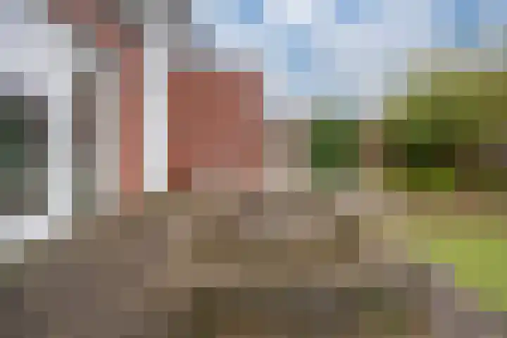 Ossenkamppad 1 Zevenaar thumbnail 20