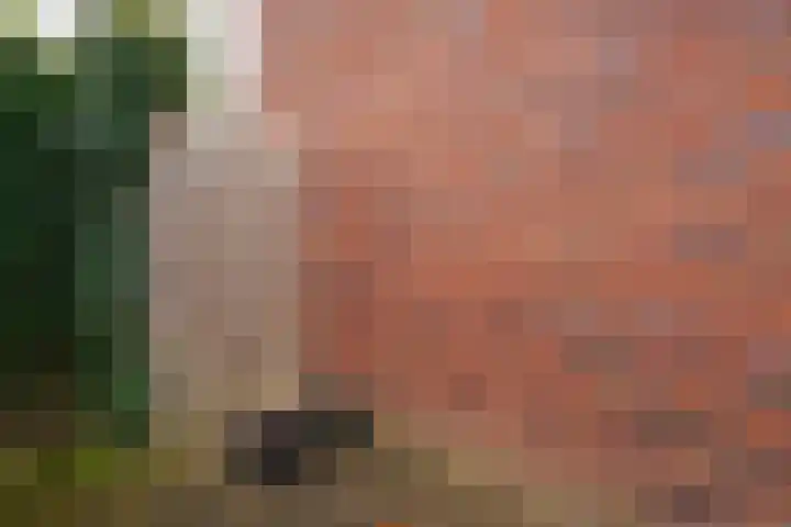 Ossenkamppad 1 Zevenaar thumbnail 21