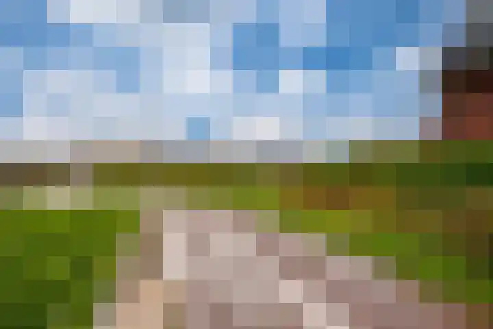 Ossenkamppad 1 Zevenaar thumbnail 40