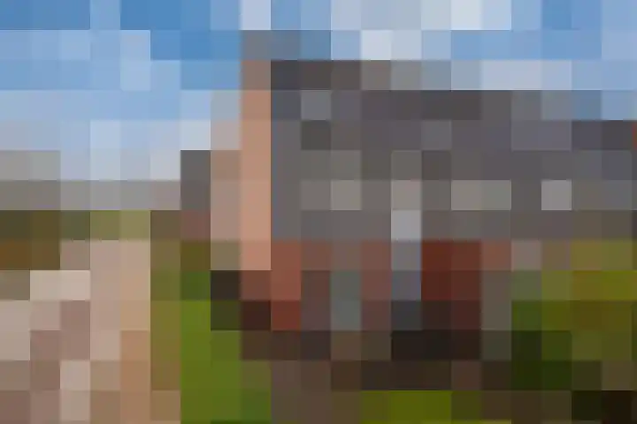 Ossenkamppad 1 Zevenaar thumbnail 44