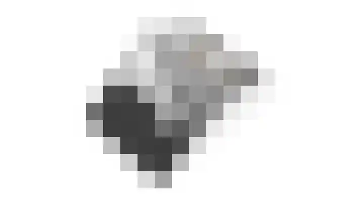 Ossenkamppad 1 Zevenaar thumbnail 50
