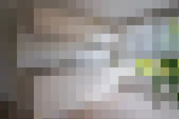 Ossenkamppad 14 Zevenaar thumbnail 10