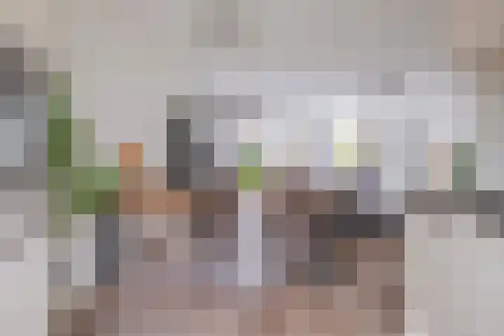 Ossenkamppad 14 Zevenaar thumbnail 12