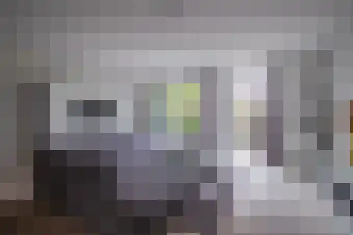 Ossenkamppad 14 Zevenaar thumbnail 14