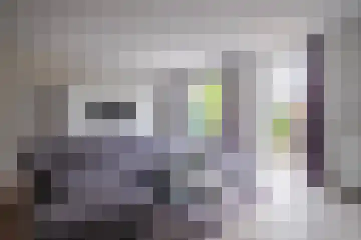 Ossenkamppad 14 Zevenaar thumbnail 15