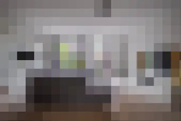 Ossenkamppad 14 Zevenaar thumbnail 17