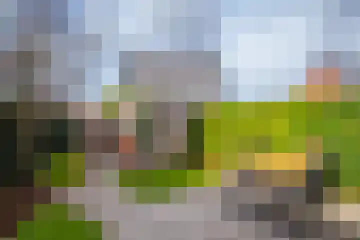 Ossenkamppad 14 Zevenaar thumbnail 19