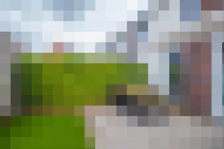 Ossenkamppad 14 Zevenaar thumbnail 21