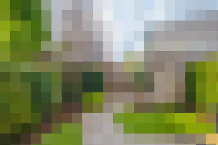 Ossenkamppad 14 Zevenaar thumbnail 22