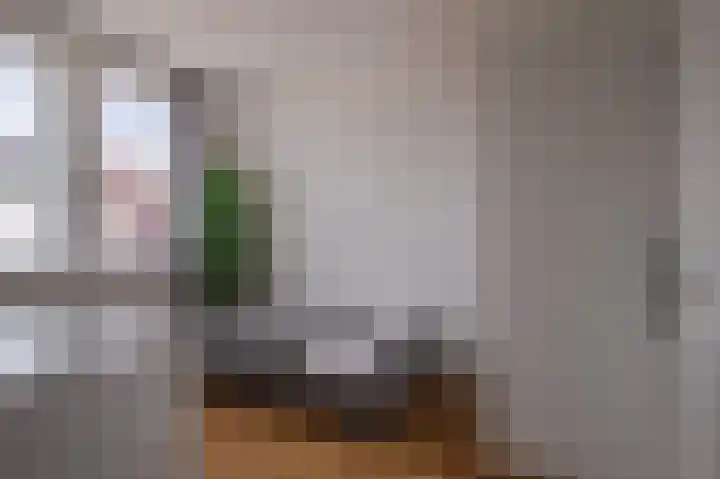 Ossenkamppad 14 Zevenaar thumbnail 27