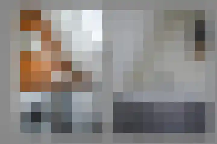 Ossenkamppad 14 Zevenaar thumbnail 35