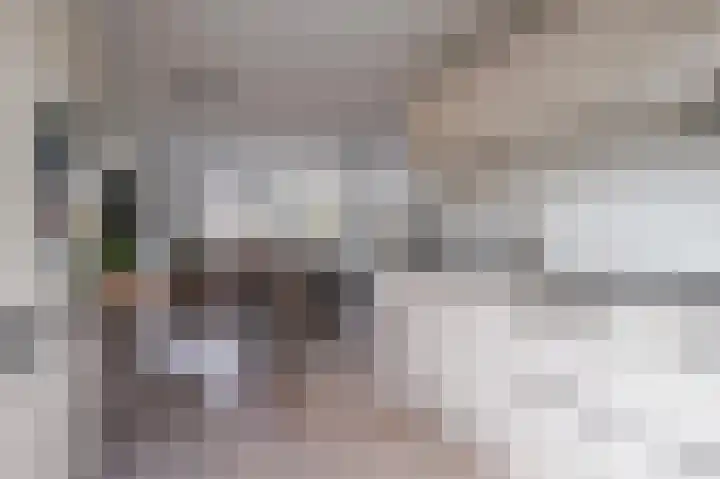 Ossenkamppad 14 Zevenaar thumbnail 4
