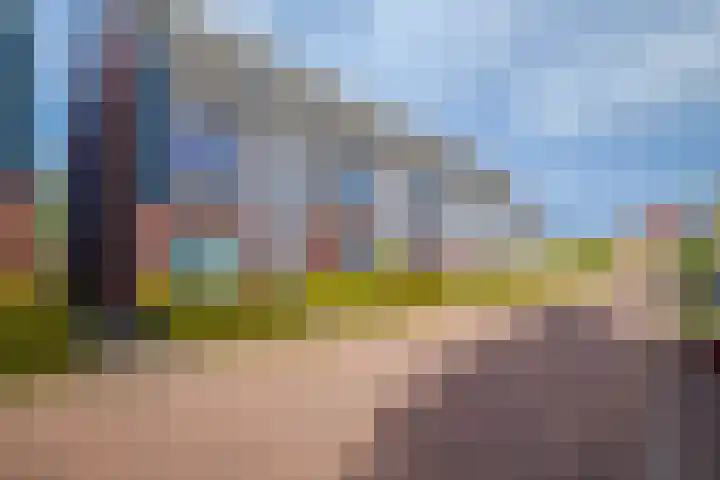 Ossenkamppad 14 Zevenaar thumbnail 5