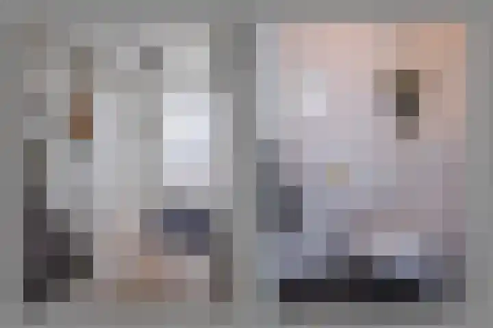 Ossenkamppad 14 Zevenaar thumbnail 6