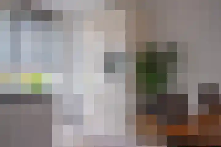 Ossenkamppad 14 Zevenaar thumbnail 9