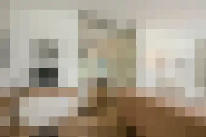 Ossenkampweg 1 Wapenveld thumbnail 10