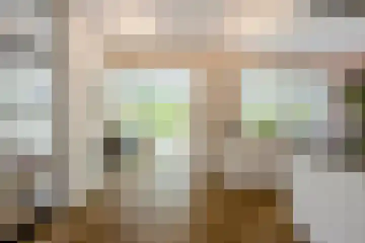 Ossenkampweg 1 Wapenveld thumbnail 12