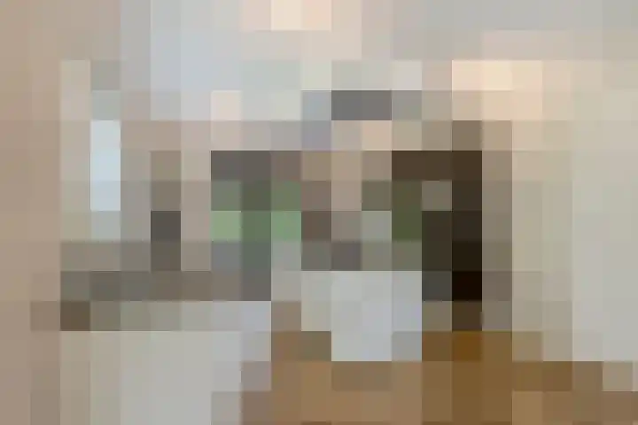 Ossenkampweg 1 Wapenveld thumbnail 13