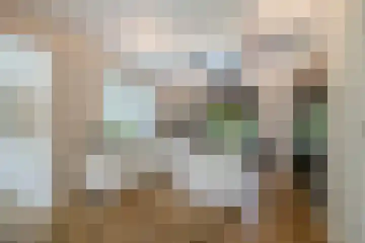 Ossenkampweg 1 Wapenveld thumbnail 14