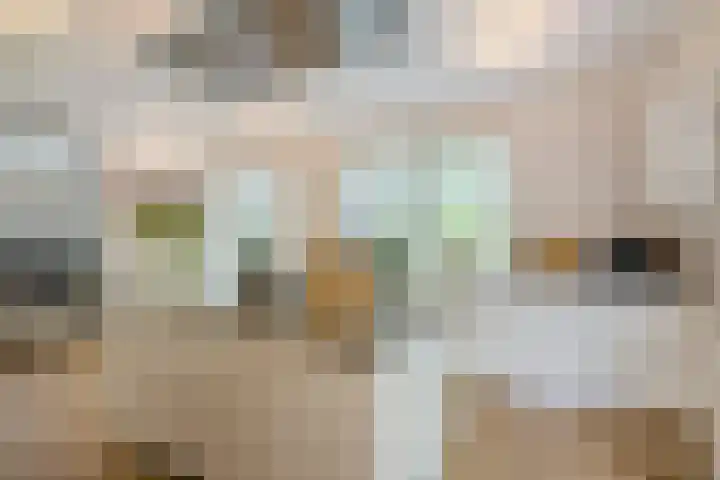Ossenkampweg 1 Wapenveld thumbnail 19