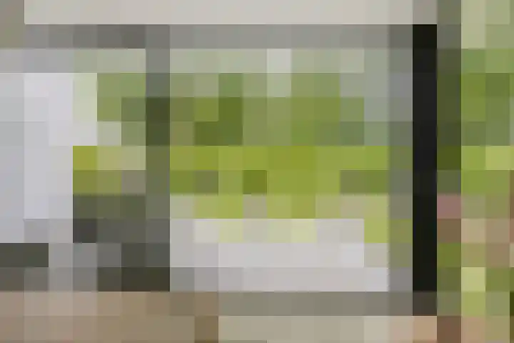Ossenkampweg 1 Wapenveld thumbnail 25