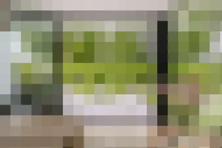 Ossenkampweg 1 Wapenveld thumbnail 27
