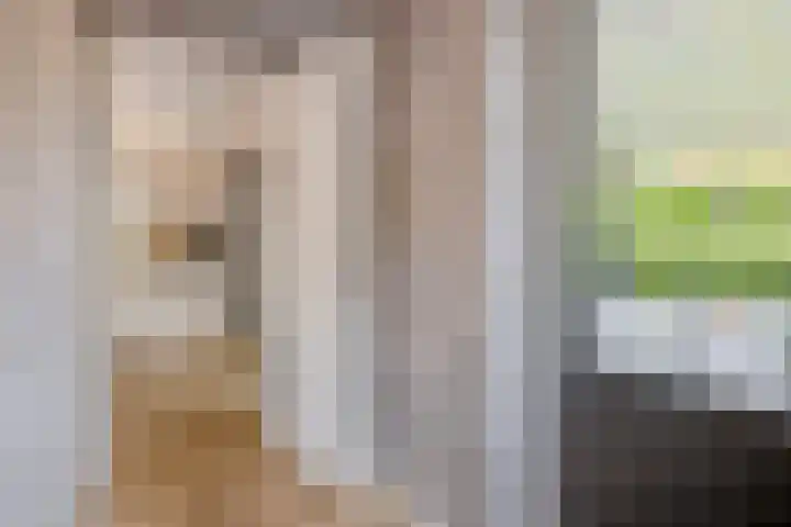 Ossenkampweg 1 Wapenveld thumbnail 30