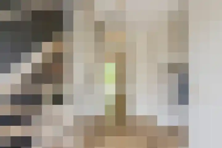 Ossenkampweg 1 Wapenveld thumbnail 31