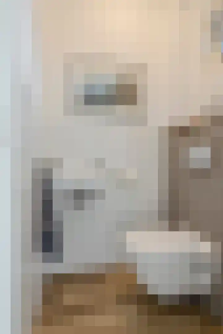 Ossenkampweg 1 Wapenveld thumbnail 33
