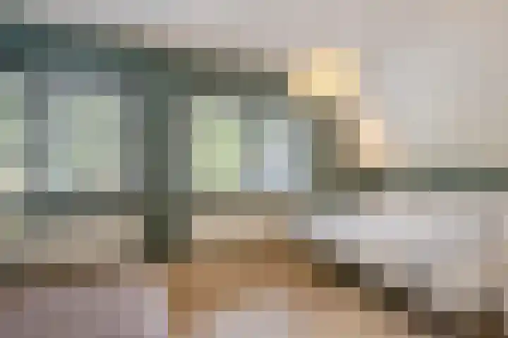 Ossenkampweg 1 Wapenveld thumbnail 36