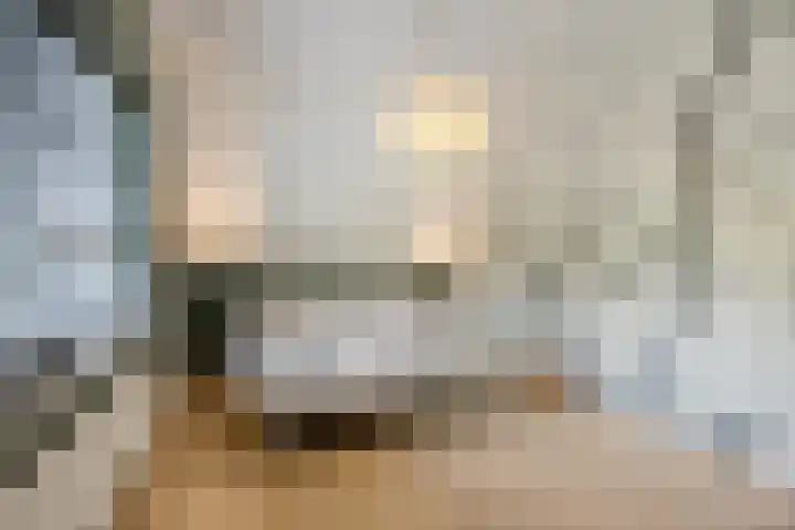 Ossenkampweg 1 Wapenveld thumbnail 37