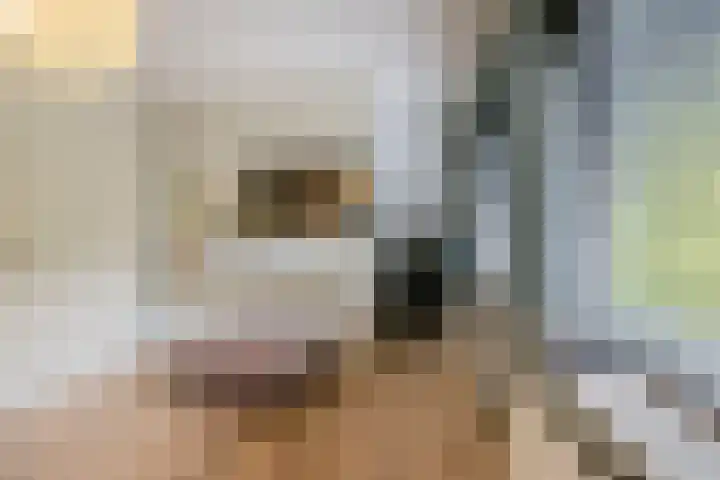 Ossenkampweg 1 Wapenveld thumbnail 38