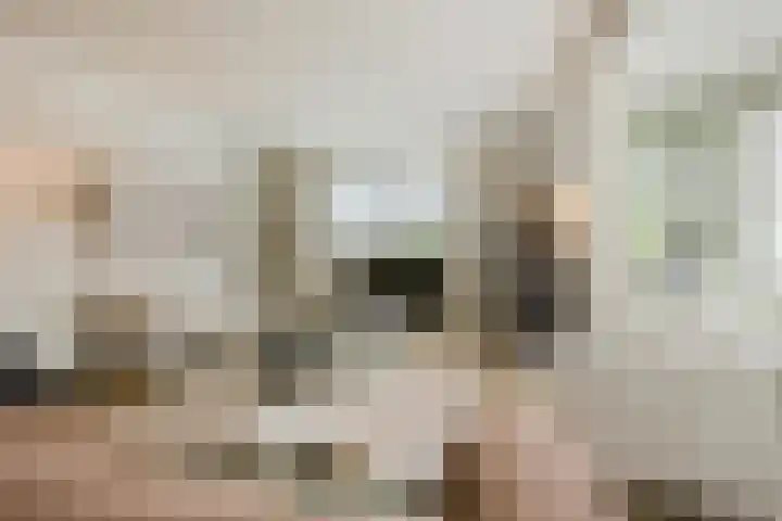 Ossenkampweg 1 Wapenveld thumbnail 4