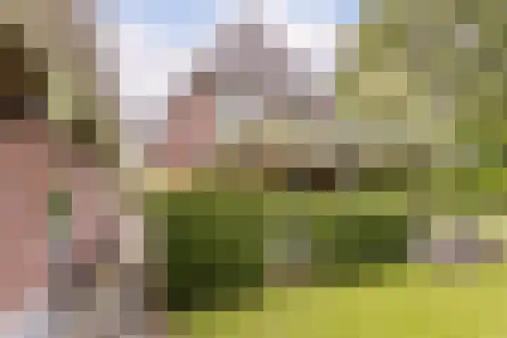 Ossenkampweg 1 Wapenveld thumbnail 61